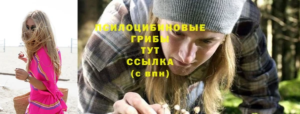 ешки Медвежьегорск